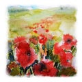 Floral painted poppy landscape with buds and blue sky illustration with background Ink and watercolor painting. Royalty Free Stock Photo