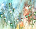 Floral painted poppy seed head illustration on  background. Ink and watercolor painting. Royalty Free Stock Photo
