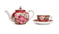 Floral-painted tea service isolated Royalty Free Stock Photo