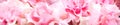 Floral panel of delicate pink rosebuds close-up, oil paint effect Royalty Free Stock Photo