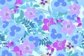 Floral pansy, rose background illustration