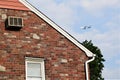 United Postal Service airplane flies over neighborhood