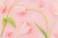 Floral pastel background with tulips flowers on pink background. Flat lay, top view. Spring time background. Royalty Free Stock Photo