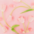 Floral pastel pattern with tulips flowers on pink background. Flat lay, top view. Spring time background. Royalty Free Stock Photo