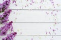 Floral pattern of a branch of lilac Royalty Free Stock Photo