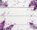 Floral pattern of a branch of lilac Royalty Free Stock Photo