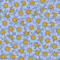 Floral pattern of bright summer daisies close up, flower  composition, not seamless Royalty Free Stock Photo