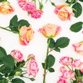 Floral pattern with colorful roses, buds and green leaves on white background. Flat lay, top view. Spring background Royalty Free Stock Photo