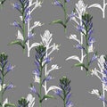 Floral pattern, delicate flower wallpaper, violet bells. Royalty Free Stock Photo