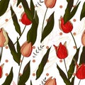 Tulips. Hand drawn style on background. Seamless vector texture. Royalty Free Stock Photo