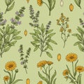 Floral pattern featuring detailed illustrations of various botanical elements on a light Royalty Free Stock Photo