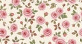 A floral pattern featuring pink roses and green leaves on a white background Royalty Free Stock Photo