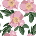 Floral pattern Flower peony rose ornamental background Flourish texture. Royalty Free Stock Photo