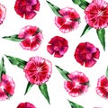 Floral pattern. Flower pink carnation seamless background. Royalty Free Stock Photo