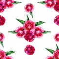 Floral pattern. Flower pink carnation seamless background. Royalty Free Stock Photo