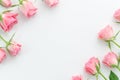 Floral pattern, frame made of beautiful pink roses on white background. Flat lay, top view. Valentine`s background
