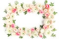 Floral pattern frame made of pink ranunculus and roses flower buds on white background. Flat lay, top view floral Royalty Free Stock Photo