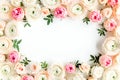 Floral pattern frame made of pink ranunculus and roses flower buds on white background. Flat lay, top view floral Royalty Free Stock Photo