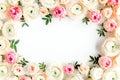 Floral pattern frame made of pink ranunculus and roses flower buds on white background. Flat lay, top view floral Royalty Free Stock Photo