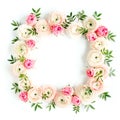 Floral pattern frame made of pink ranunculus and roses flower buds on white background. Flat lay, top view floral Royalty Free Stock Photo