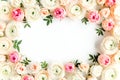 Floral pattern frame made of pink ranunculus and roses flower buds on white background. Flat lay, top view floral Royalty Free Stock Photo