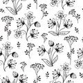 Floral pattern with herb branch and leaves. Nature background. Royalty Free Stock Photo