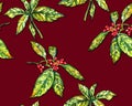 Floral pattern with Japanese laurel.