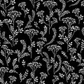 Floral pattern with leaves and flowers. Ornamental herb background Royalty Free Stock Photo
