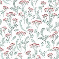 Floral pattern with leaves and flowers. Ornamental herb branch s Royalty Free Stock Photo