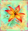 Floral Pattern with Lily Flower