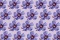 Floral pattern made of beautiful hibiscus flowers on pastel background. Minimal style. Nature concept