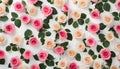 Floral pattern made of pink and beige roses, green leaves, branches on white background