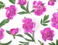 Floral pattern made of pink peony flowers and leaves isolated on white background. Flat lay. Royalty Free Stock Photo
