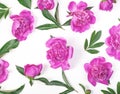 Floral pattern made of pink peony flowers and leaves isolated on white background. Flat lay. Royalty Free Stock Photo