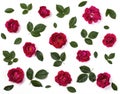 Floral pattern made of pink rose flowers and green leaves isolated on white background. Flat lay. Royalty Free Stock Photo