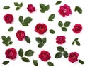 Floral pattern made of pink rose flowers and green leaves isolated on white background. Flat lay. Royalty Free Stock Photo