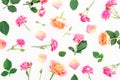 Floral pattern made of pink roses flowers and roses petals on white background. Valentines day. Flat lay, top view. Royalty Free Stock Photo