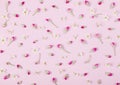 Floral pattern made of spring flowers buds on pastel pink background. Flat lay. Royalty Free Stock Photo