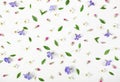 Floral pattern made of spring flowers, lilac wildflowers, pink buds and leaves isolated on white background. Flat lay.