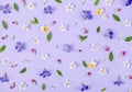 Floral pattern made of spring white and violet flowers, green leaves and pink buds on pastel lilac background. Flat lay. Royalty Free Stock Photo