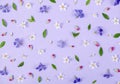 Floral pattern made of spring white and violet flowers, green leaves and pink buds on pastel lilac background. Flat lay