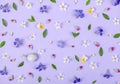 Floral pattern made of spring white and violet flowers, green leaves, pink buds and snail shell on pastel lilac background. Royalty Free Stock Photo