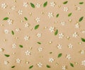 Floral pattern made of white spring flowers, buds and green leaves on brown paper background. Flat lay. Royalty Free Stock Photo