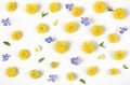 Floral pattern made of yellow dandelion, lilac flowers and leaves isolated on white background. Flat lay. Royalty Free Stock Photo