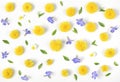 Floral pattern made of yellow dandelion, lilac flowers and leaves isolated on white background. Flat lay Royalty Free Stock Photo