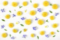 Floral pattern made of yellow dandelion, lilac flowers and leaves isolated on white background. Flat lay. Royalty Free Stock Photo