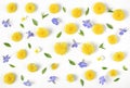 Floral pattern made of yellow dandelion, lilac flowers and leaves isolated on white background. Flat lay. Royalty Free Stock Photo