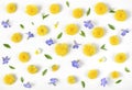 Floral pattern made of yellow dandelion, lilac flowers and leaves isolated on white background. Flat lay. Royalty Free Stock Photo