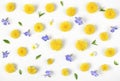 Floral pattern made of yellow dandelion, lilac flowers and leaves isolated on white background. Flat lay. Royalty Free Stock Photo