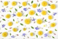 Floral pattern made of yellow dandelion, lilac flowers, pink buds and green leaves isolated on white background. Flat lay. Royalty Free Stock Photo